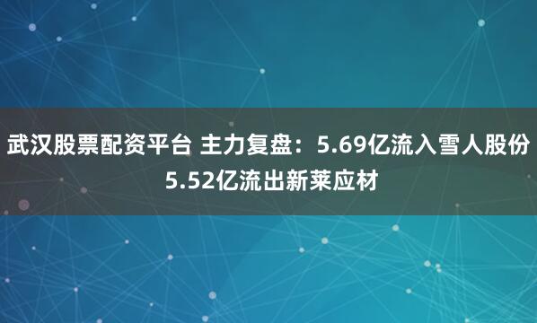 武汉股票配资平台 主力复盘：5.69亿流入雪人股份 5.52亿流出新莱应材