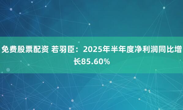 免费股票配资 若羽臣：2025年半年度净利润同比增长85.60%